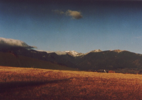 Image13.jpg