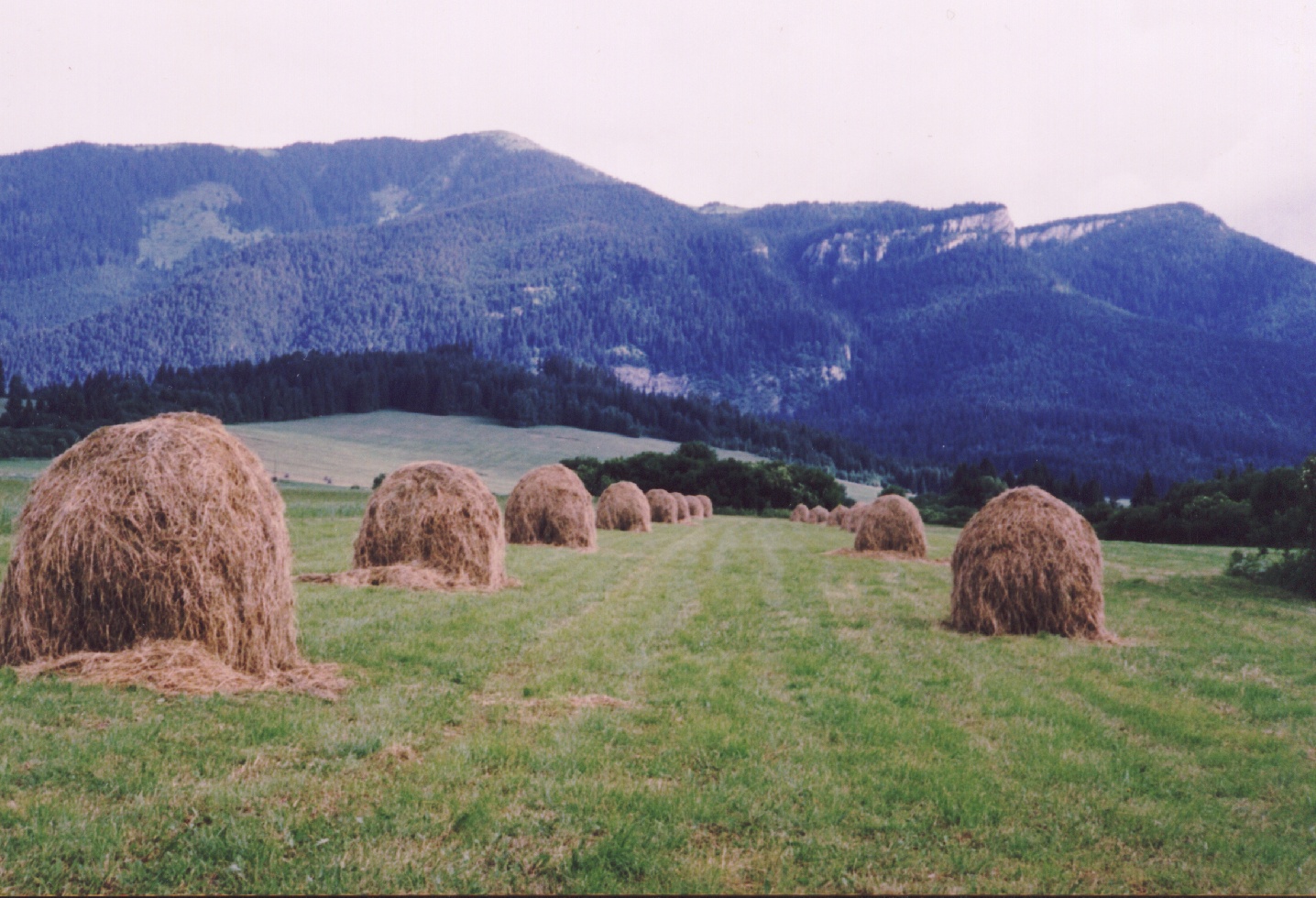 Image23.jpg