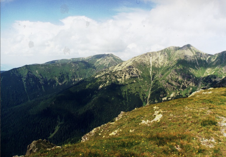 Pachola.jpg