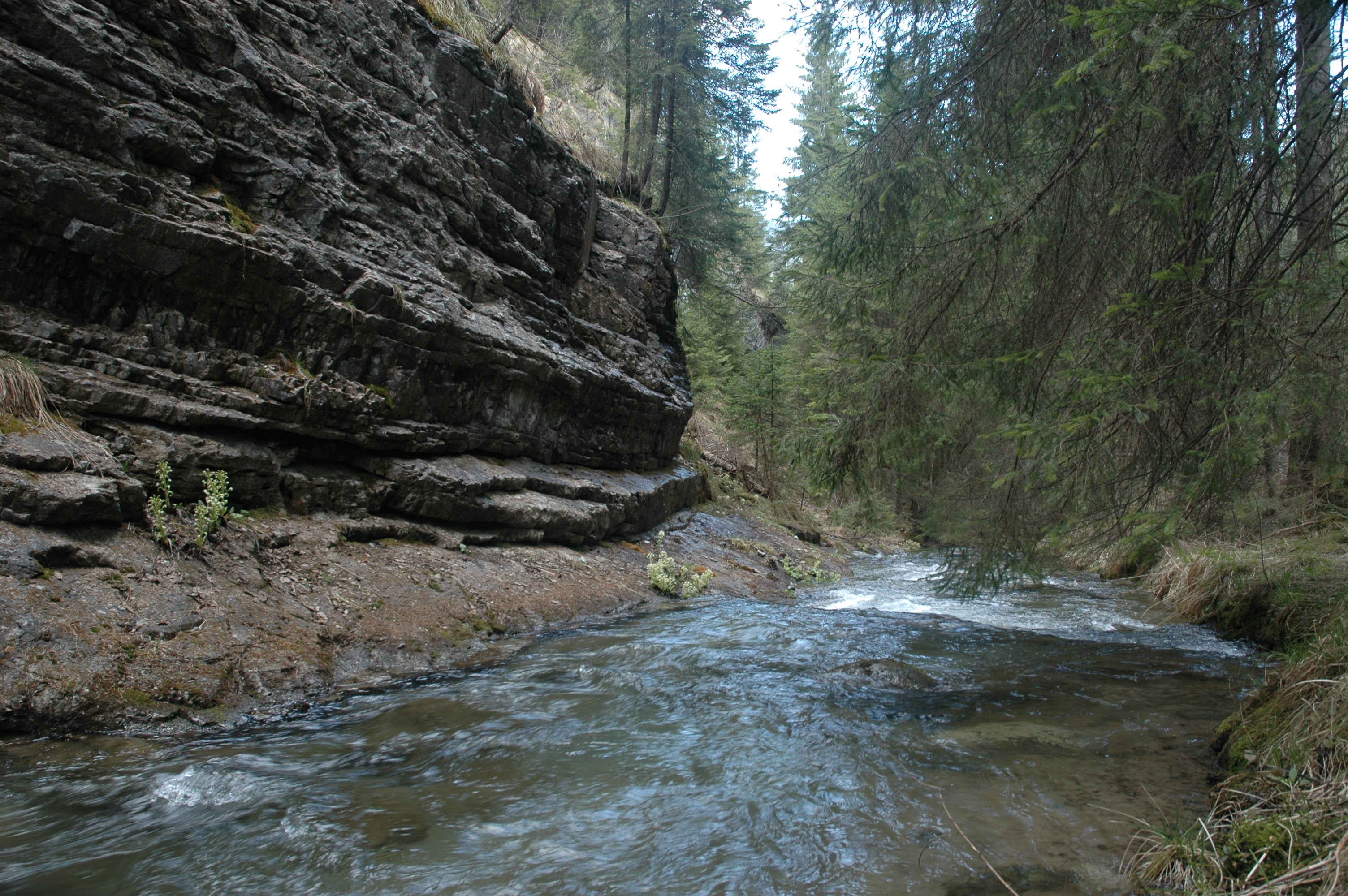 DSC_0020.JPG