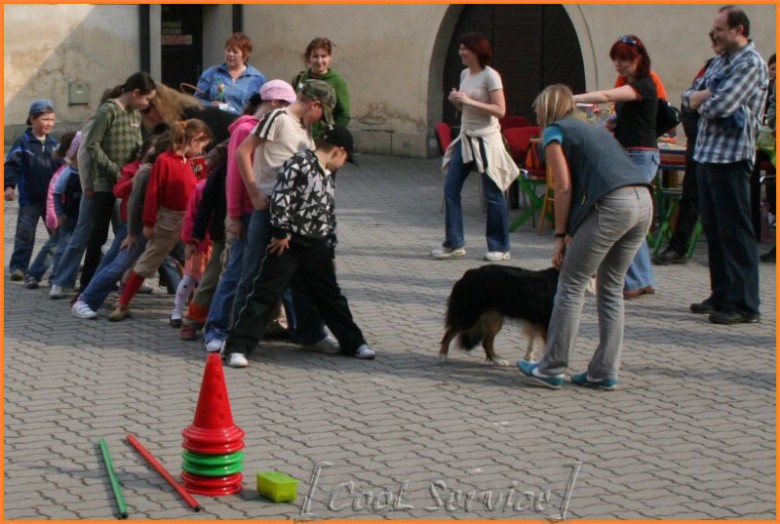7velka.jpg