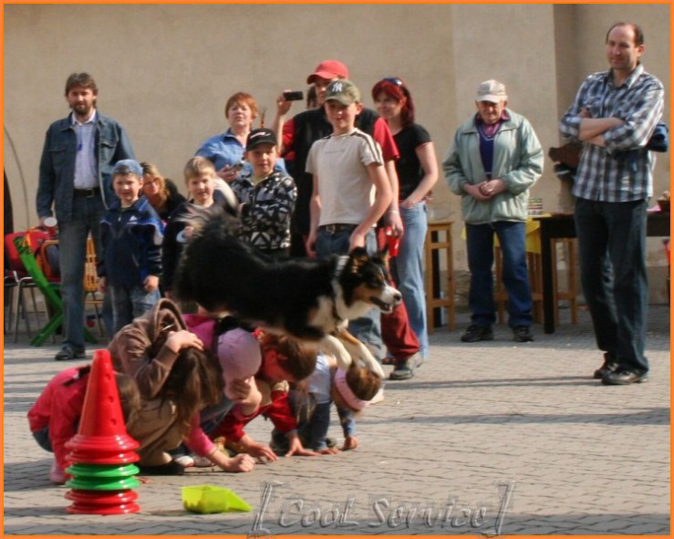 9velka.jpg