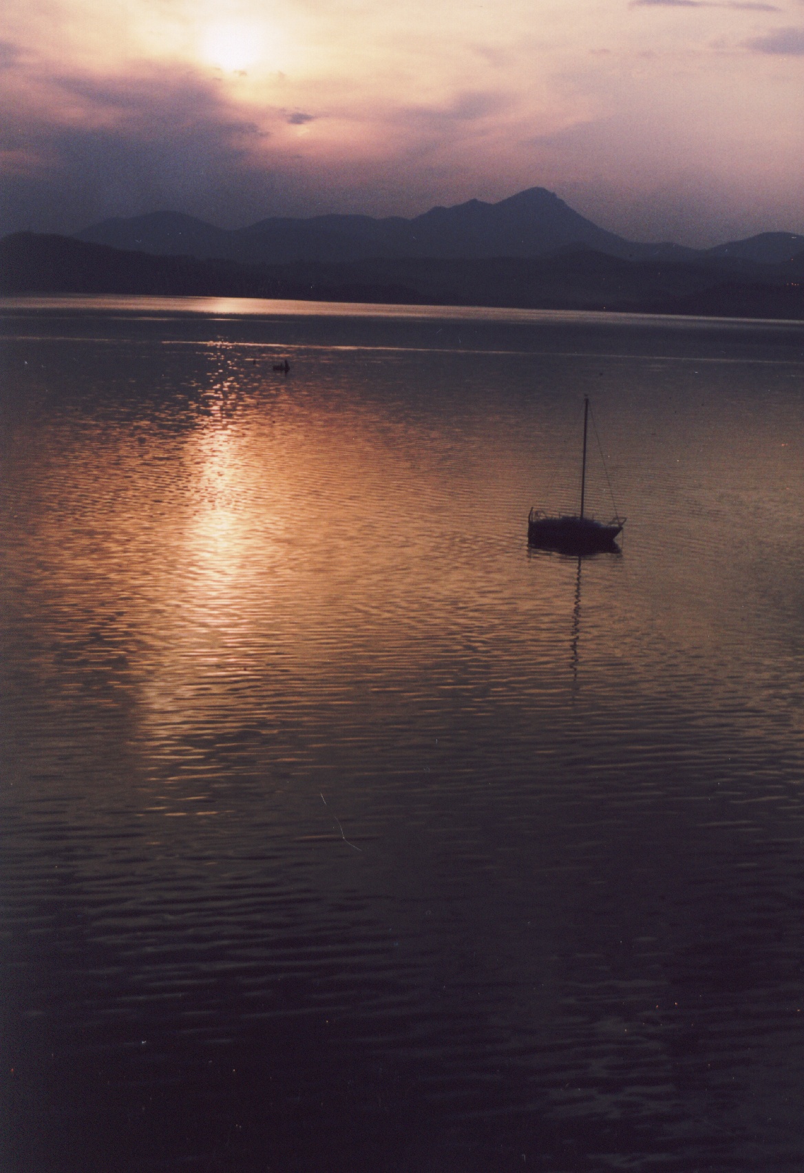 Image001.jpg
