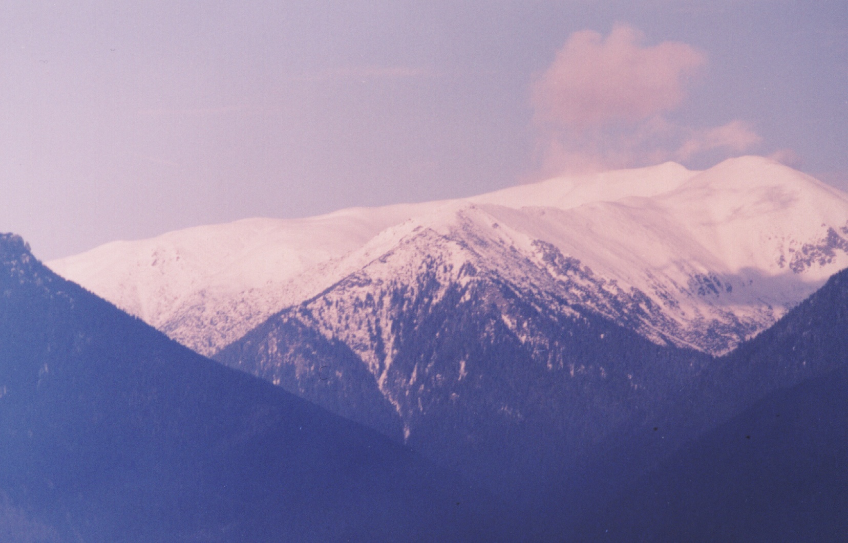 Image6.jpg